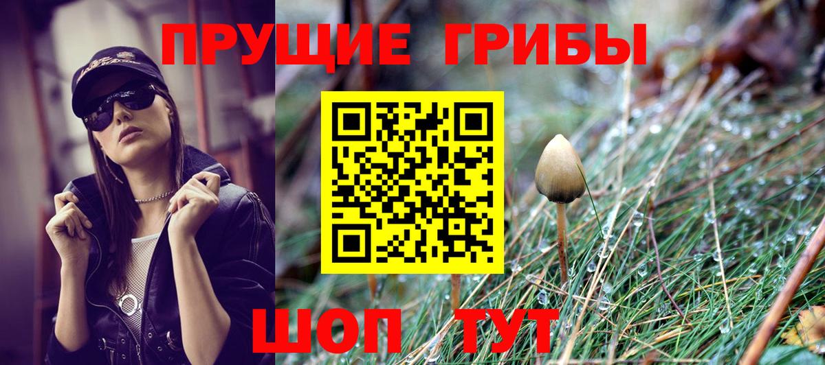 купить наркоту  Вход с VPN  Жигулёвск  Псилоцибиновые грибы Psilocybe 